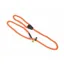 Digby and Fox Rope Slip Dog Lead in Orange