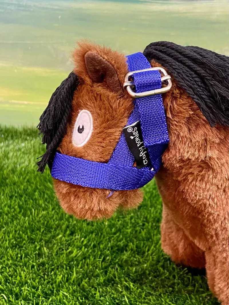 Crafty Pony Foal Slip Blue