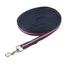 Wessex 8m/26 Cushion Web Lunge Line In Blue/Pink
